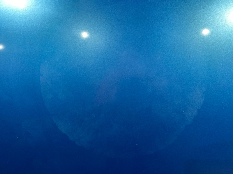 Капот, 8000 рублей, Солонцы