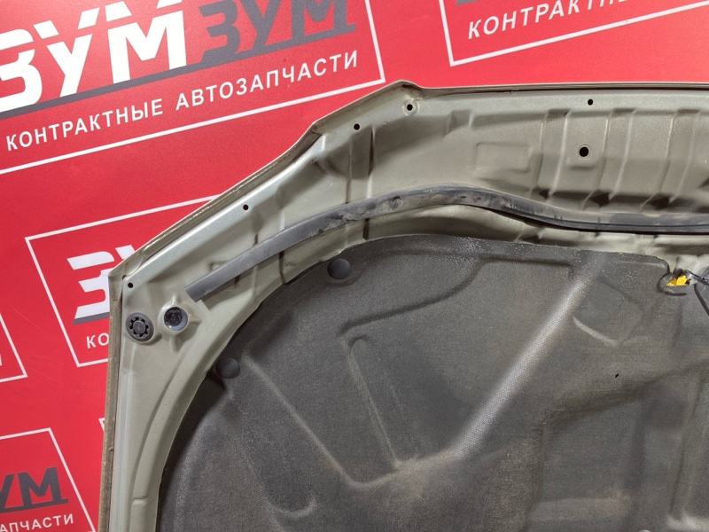 Капот, 10000 рублей, Солонцы