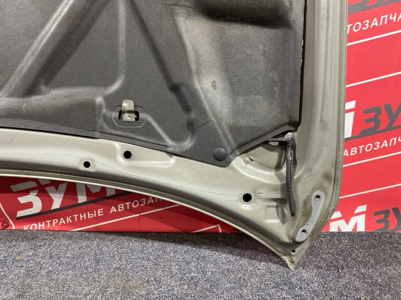 Капот, 10000 рублей, Солонцы