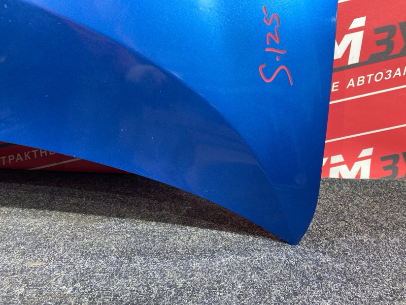 Капот, 20000 рублей, Солонцы