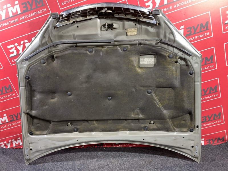 Капот, 30000 рублей, Солонцы