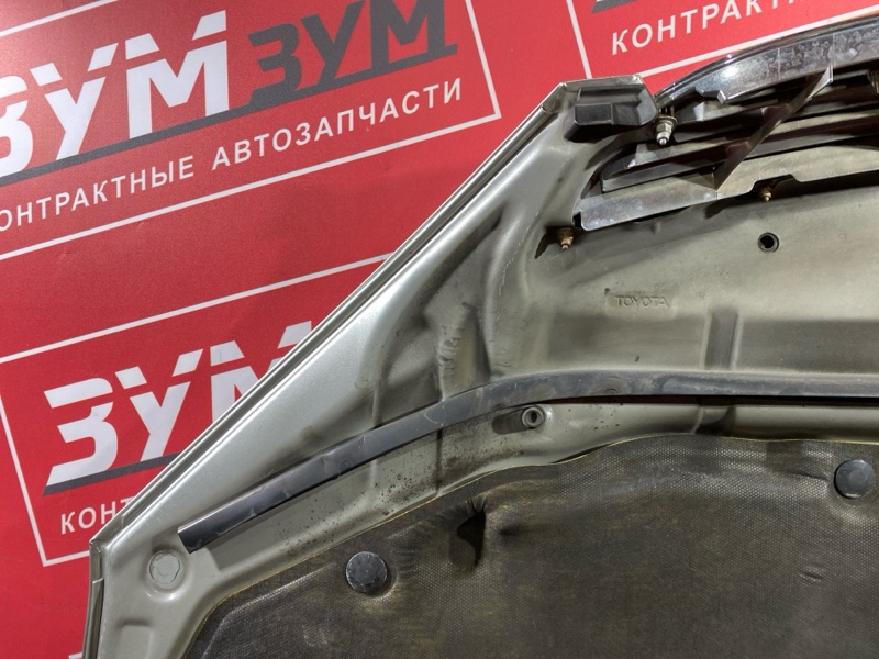 Капот, 30000 рублей, Солонцы