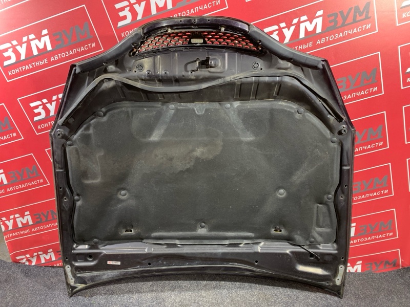 Капот, 10000 рублей, Солонцы