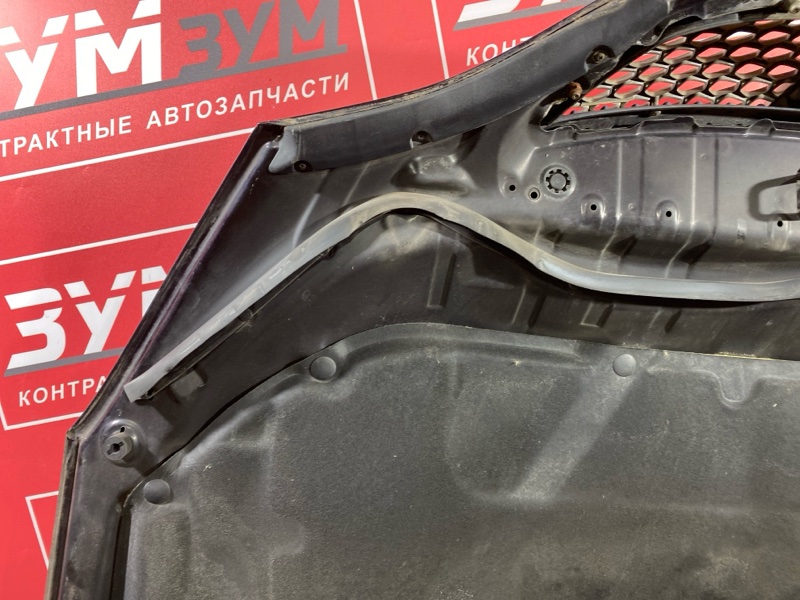 Капот, 10000 рублей, Солонцы