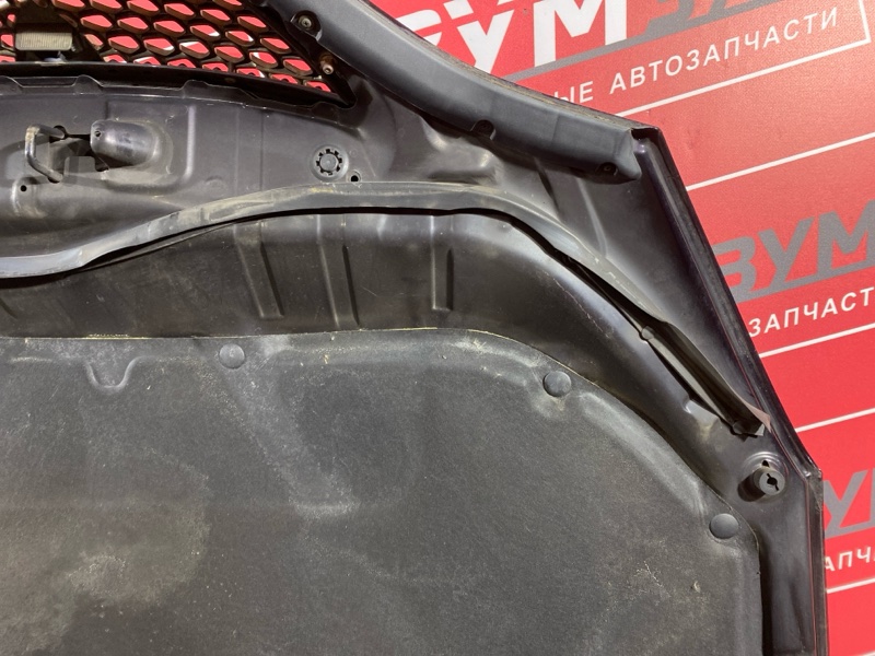 Капот, 10000 рублей, Солонцы