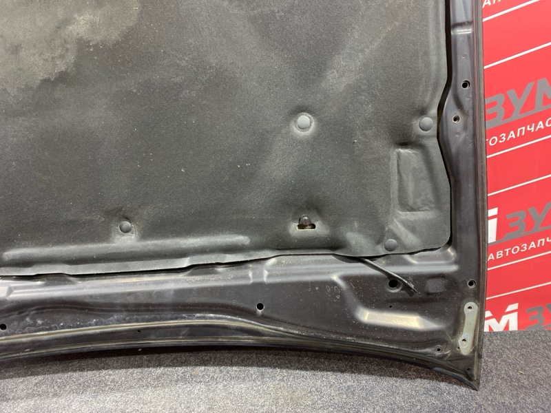 Капот, 10000 рублей, Солонцы