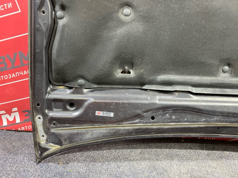 Капот, 10000 рублей, Солонцы