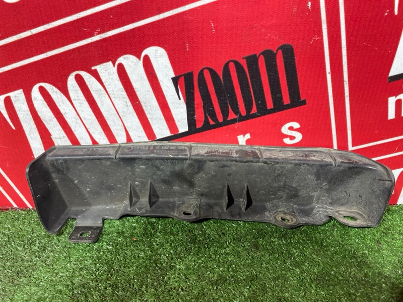 Брызговик, 1000 рублей, Солонцы