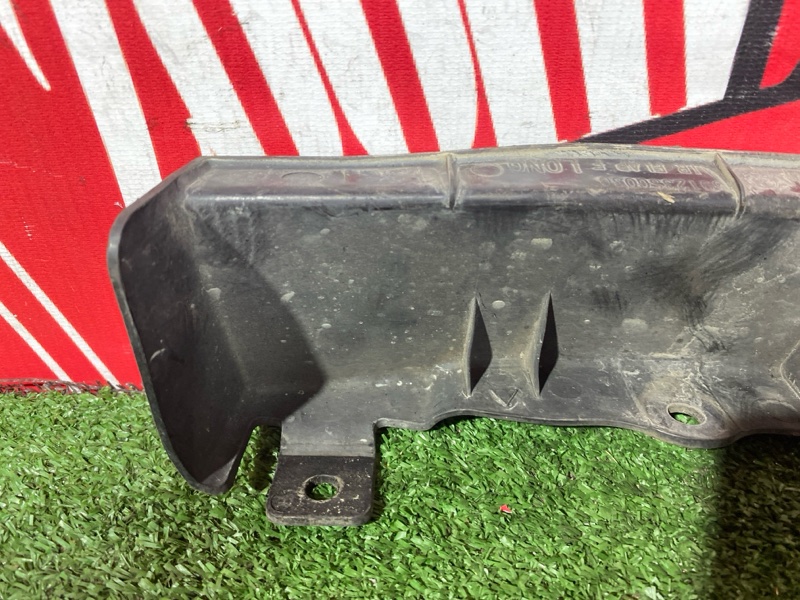 Брызговик, 1000 рублей, Солонцы