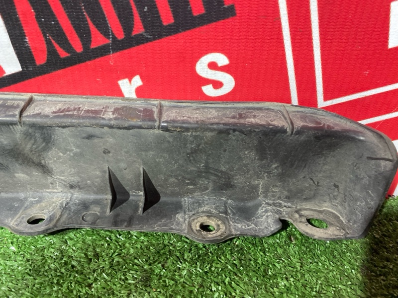 Брызговик, 1000 рублей, Солонцы