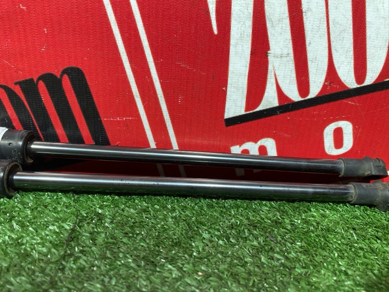 Амортизатор багажника, 1500 рублей, Солонцы