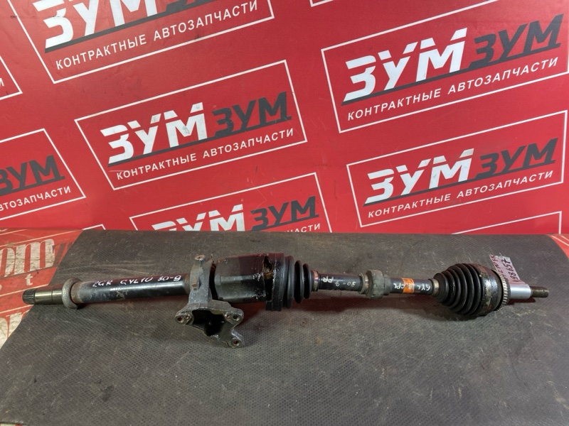 Привод, 25000 рублей, Солонцы