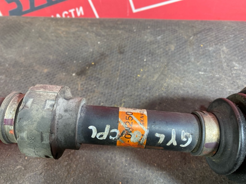 Привод, 25000 рублей, Солонцы