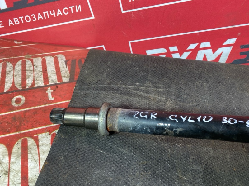 Привод, 25000 рублей, Солонцы