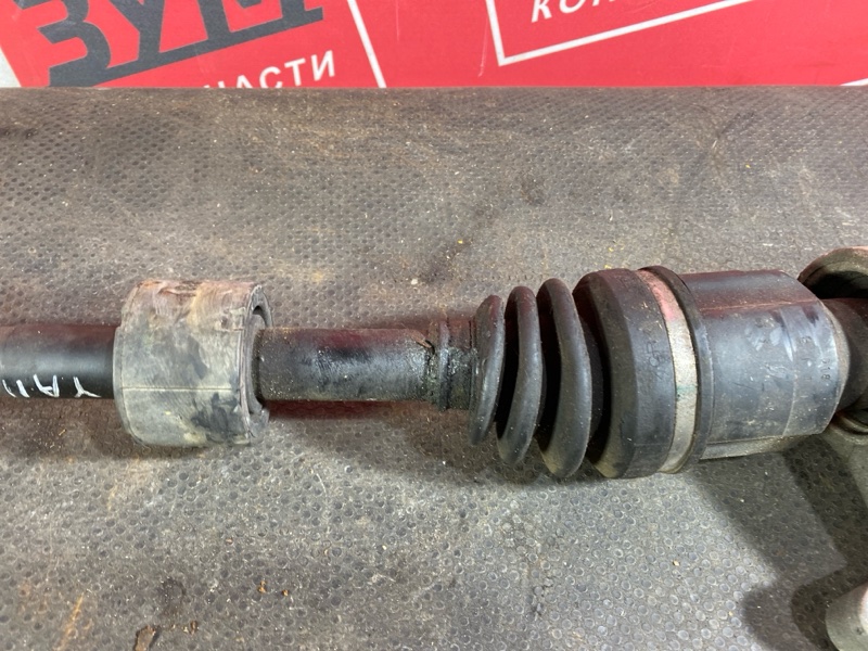 Привод, 2600 рублей, Солонцы