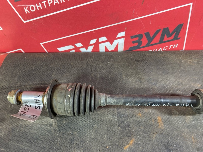 Привод, 2600 рублей, Солонцы