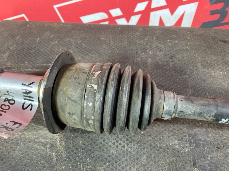 Привод, 2600 рублей, Солонцы