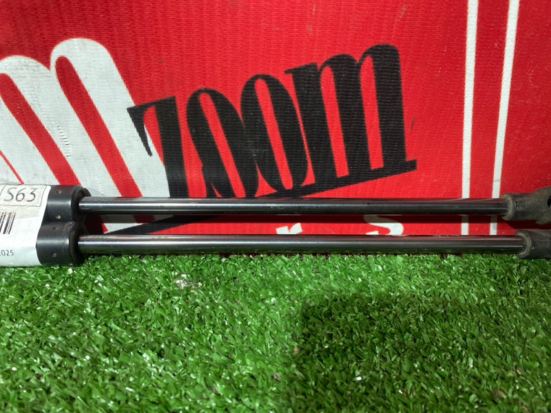 Амортизатор багажника, 2000 рублей, Солонцы