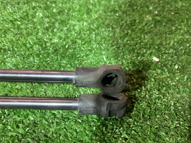 Амортизатор багажника, 2000 рублей, Солонцы