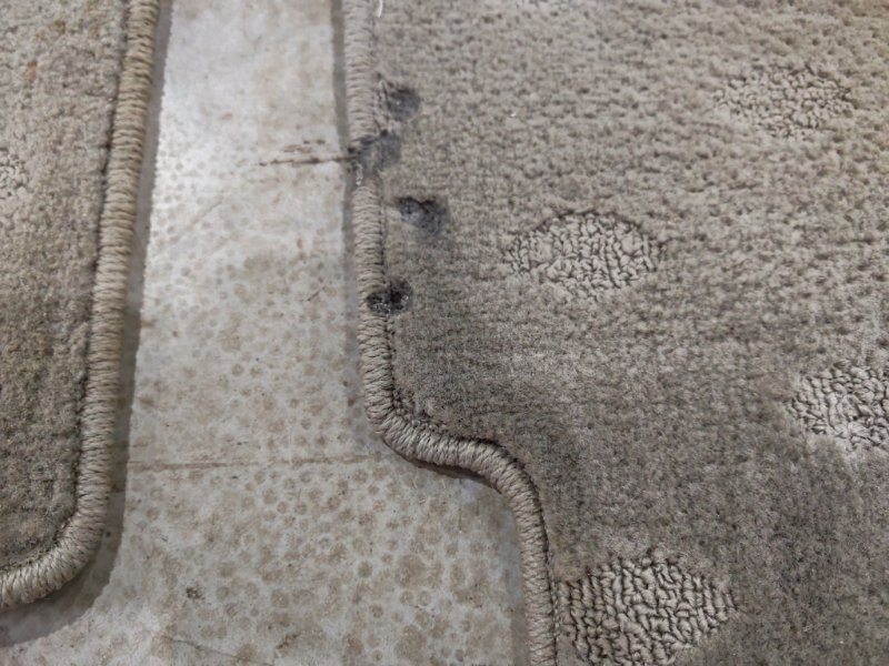 Коврик, 600 рублей, Солонцы