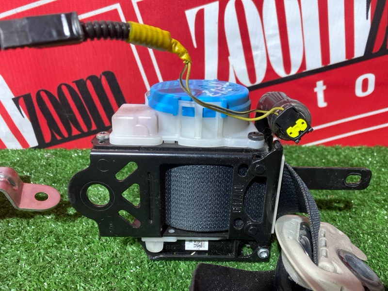 Ремень безопасности, 20000 рублей, Солонцы