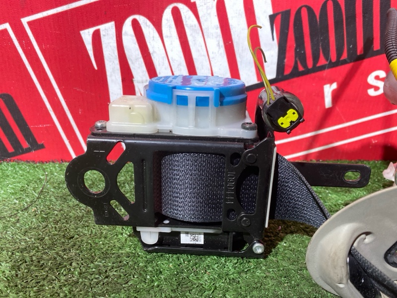 Ремень безопасности, 20000 рублей, Солонцы