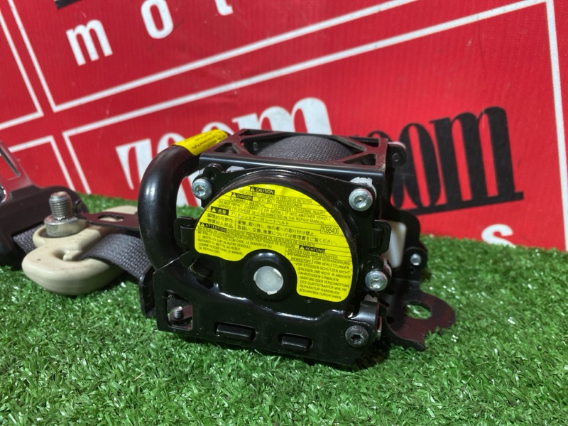 Ремень безопасности, 8000 рублей, Солонцы