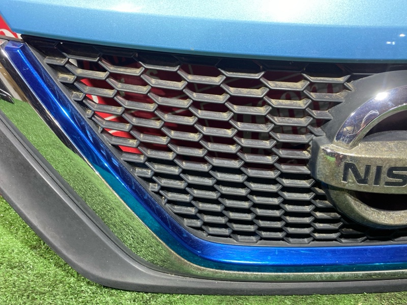 Решетка радиатора, 30000 рублей, Солонцы