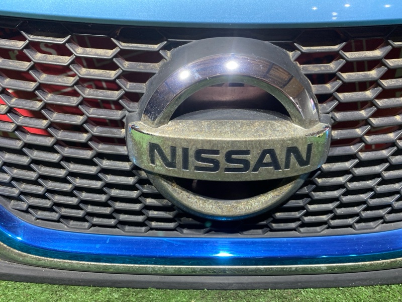 Решетка радиатора, 30000 рублей, Солонцы