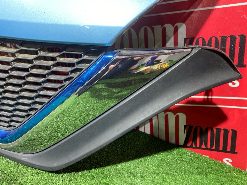 Решетка радиатора, 30000 рублей, Солонцы