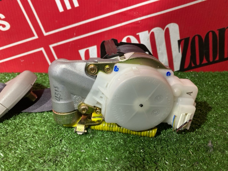 Ремень безопасности, 8000 рублей, Солонцы