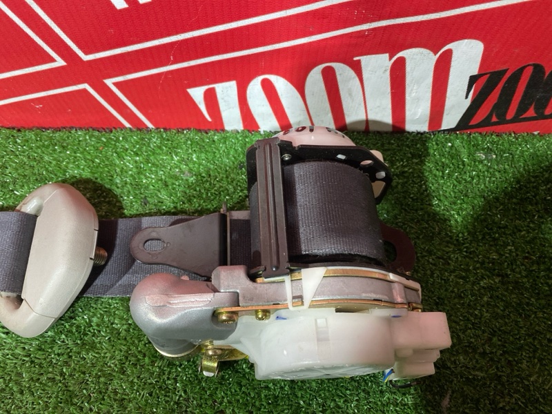 Ремень безопасности, 8000 рублей, Солонцы