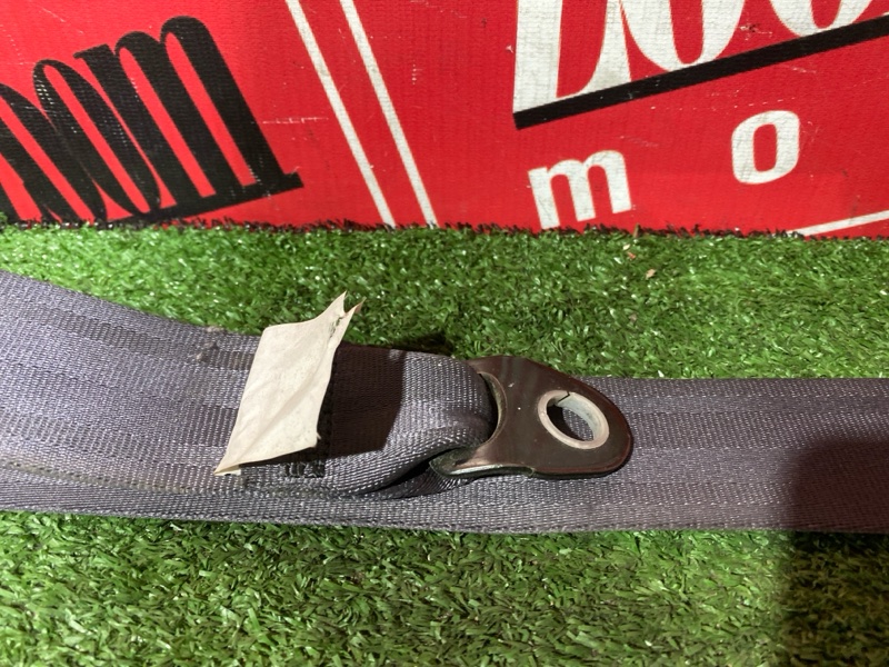 Ремень безопасности, 8000 рублей, Солонцы