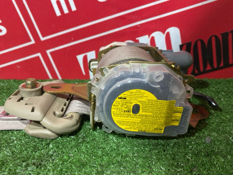 Ремень безопасности, 8000 рублей, Солонцы