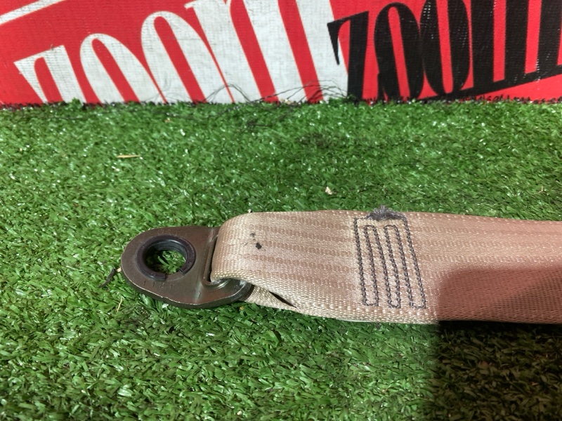 Ремень безопасности, 8000 рублей, Солонцы