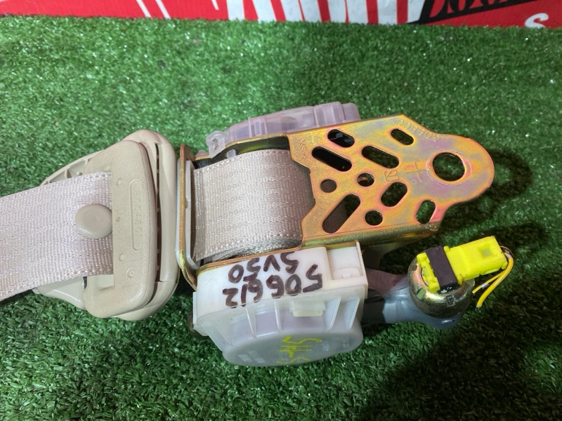 Ремень безопасности, 8000 рублей, Солонцы