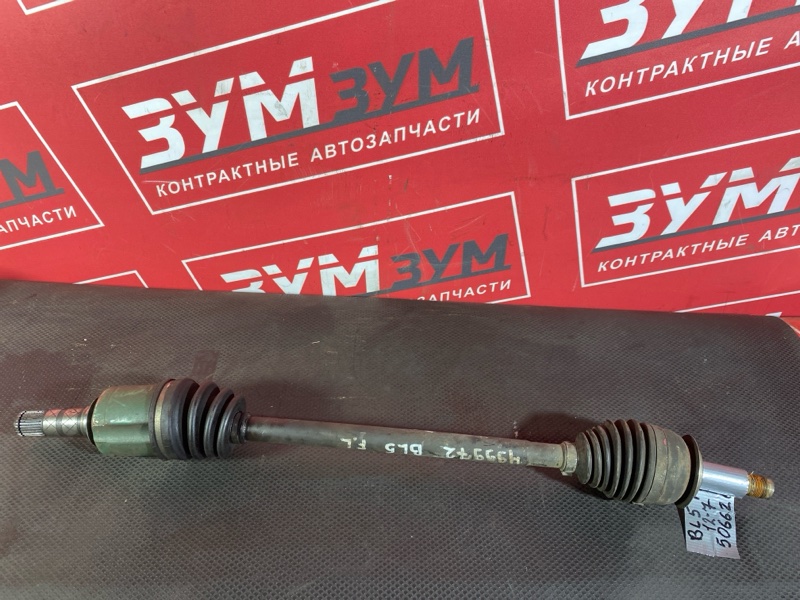 Привод, 3000 рублей, Солонцы