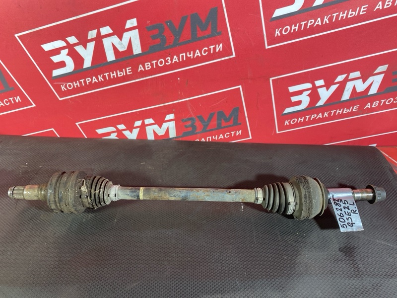 Привод, 3000 рублей, Солонцы