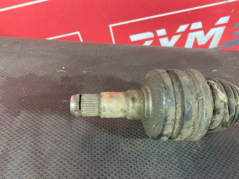 Привод, 3000 рублей, Солонцы