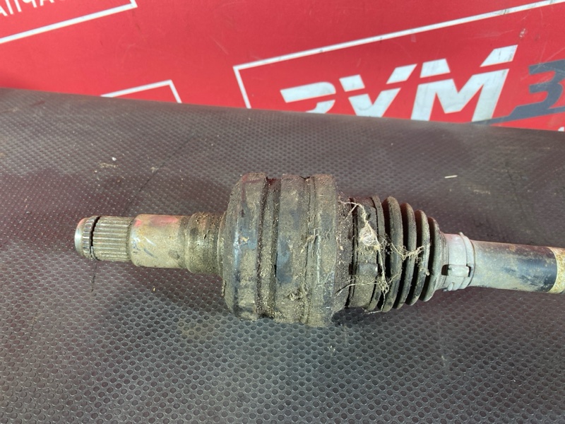 Привод, 3000 рублей, Солонцы