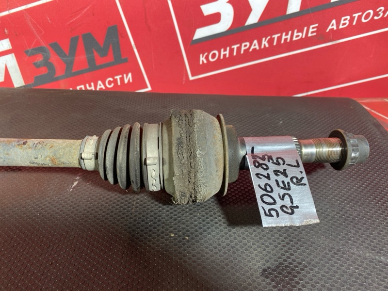 Привод, 3000 рублей, Солонцы