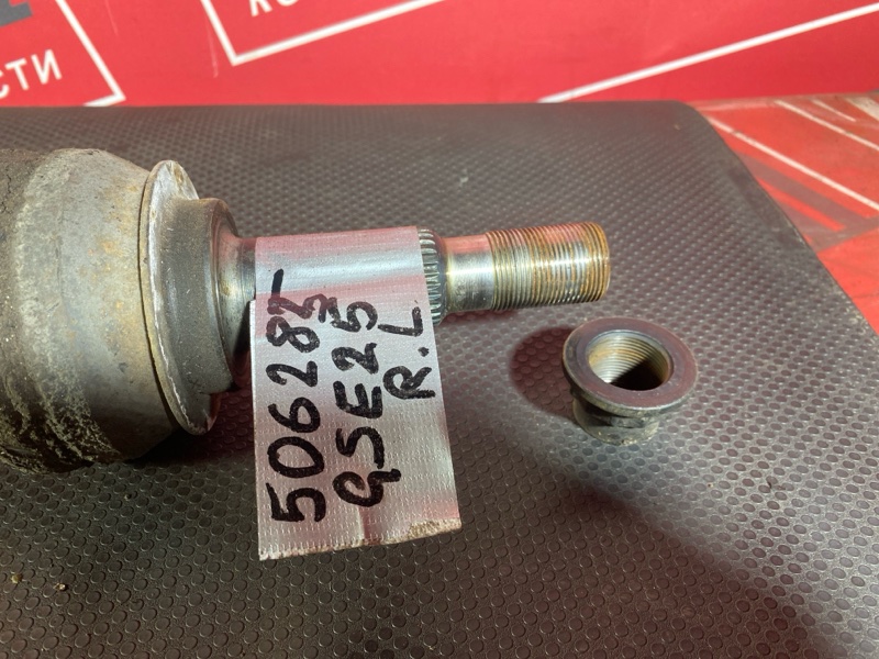 Привод, 3000 рублей, Солонцы