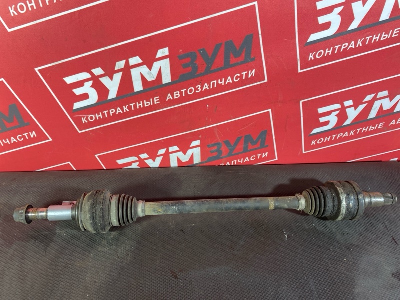 Привод, 3000 рублей, Солонцы