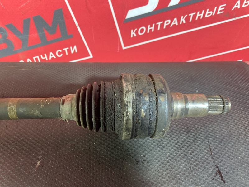 Привод, 3000 рублей, Солонцы