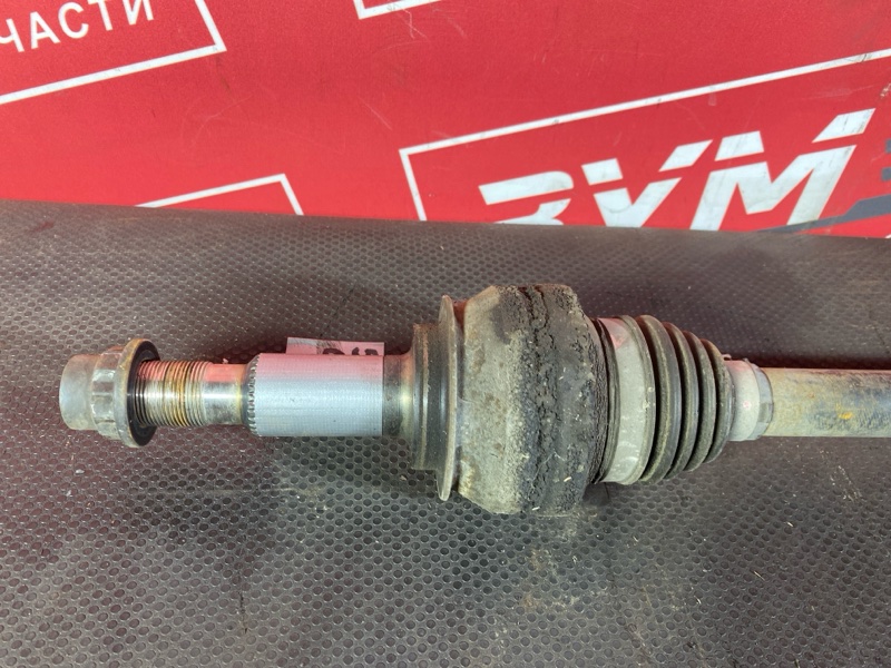 Привод, 3000 рублей, Солонцы