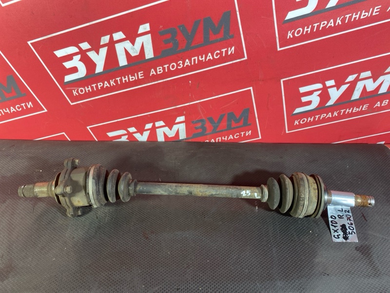 Привод, 1000 рублей, Солонцы