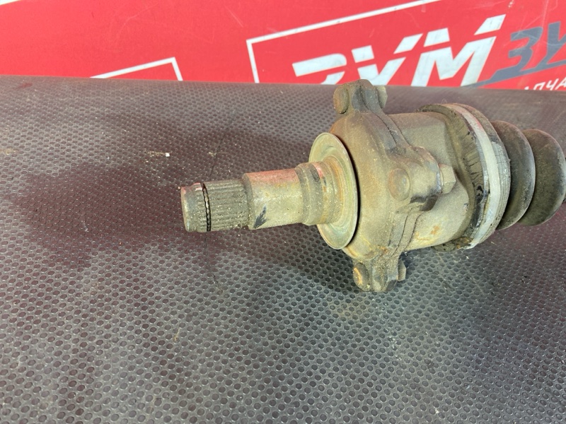 Привод, 1000 рублей, Солонцы