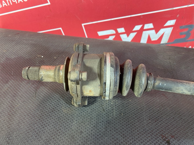 Привод, 1000 рублей, Солонцы