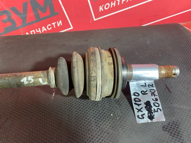 Привод, 1000 рублей, Солонцы