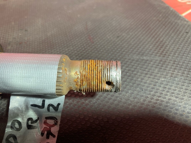 Привод, 1000 рублей, Солонцы